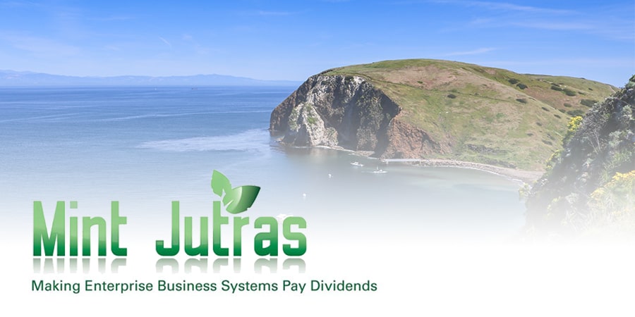 mint jutras, analyst, channel islands, erp